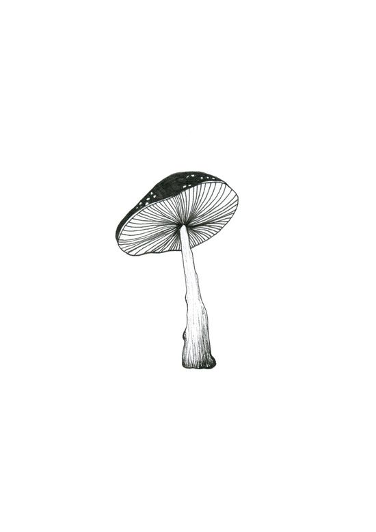Mushroom Tattoo 36