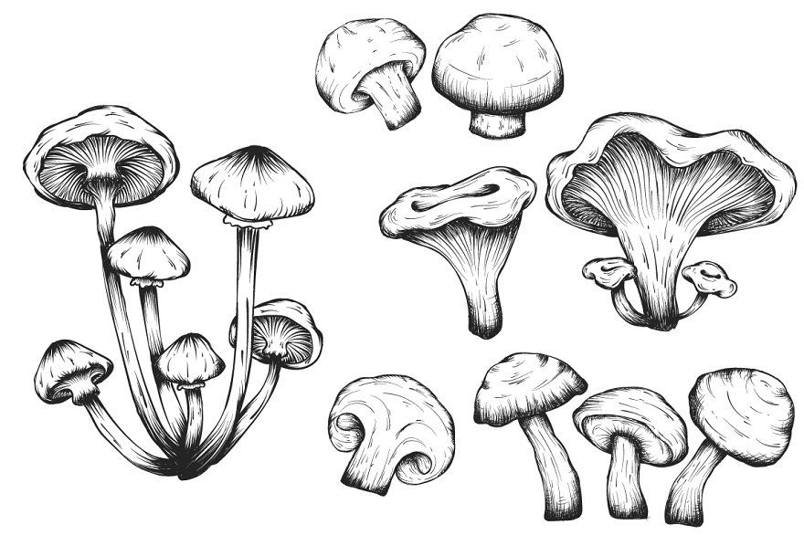 Mushroom Tattoo 38