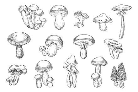 Mushroom Tattoo 53