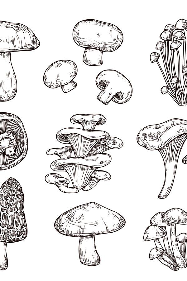 Mushroom Tattoo 6