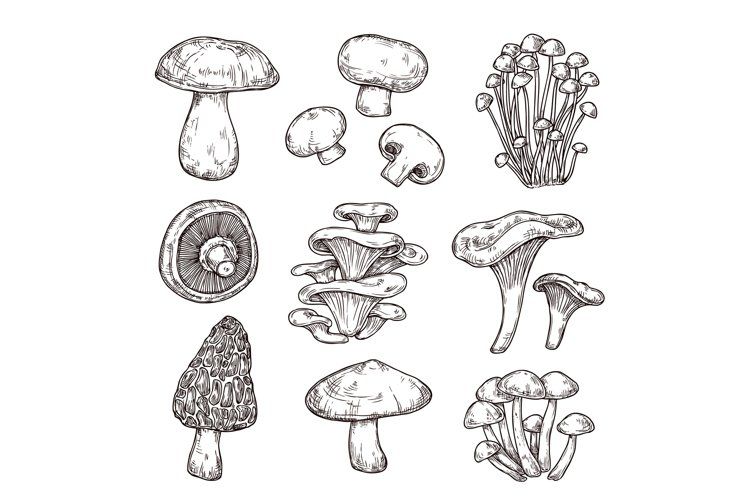 Mushroom Tattoo 98