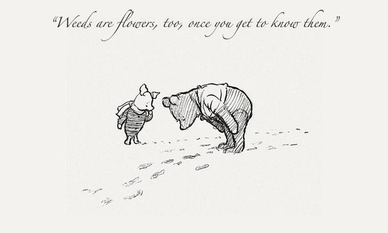 Winnie The Pooh Tattoo 133