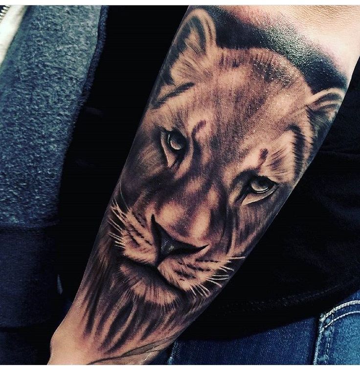 Lioness Tattoo 1