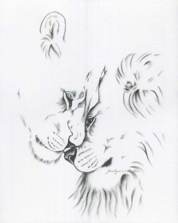 Lioness Tattoo 161