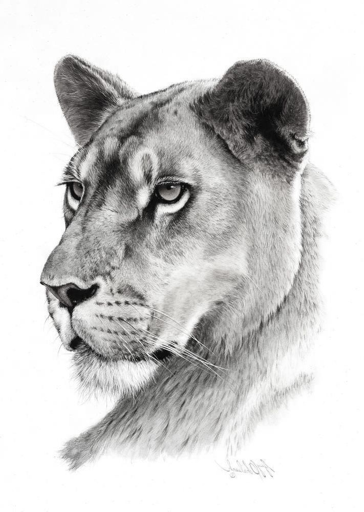 Lioness Tattoo 212