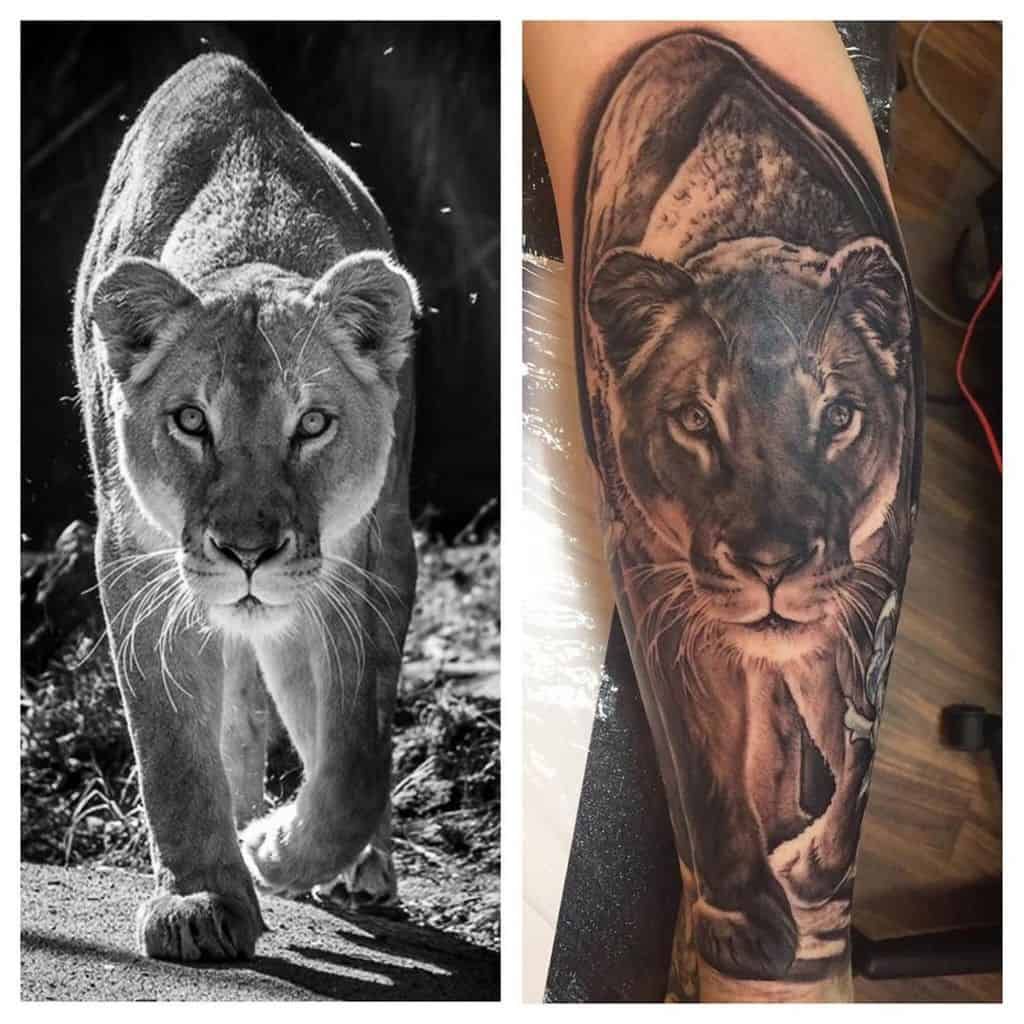 Lioness Tattoo 53