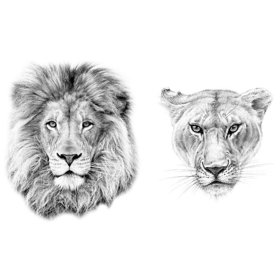 Lioness Tattoo 96