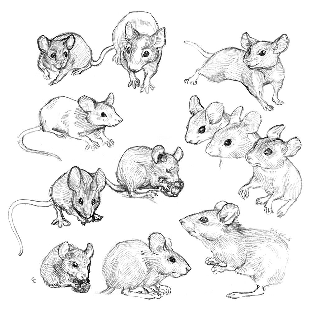 Mouse Tattoo 154