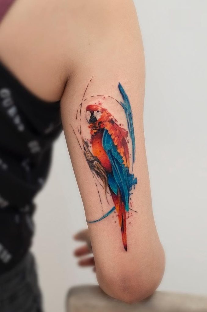 Parrot Tattoo 104