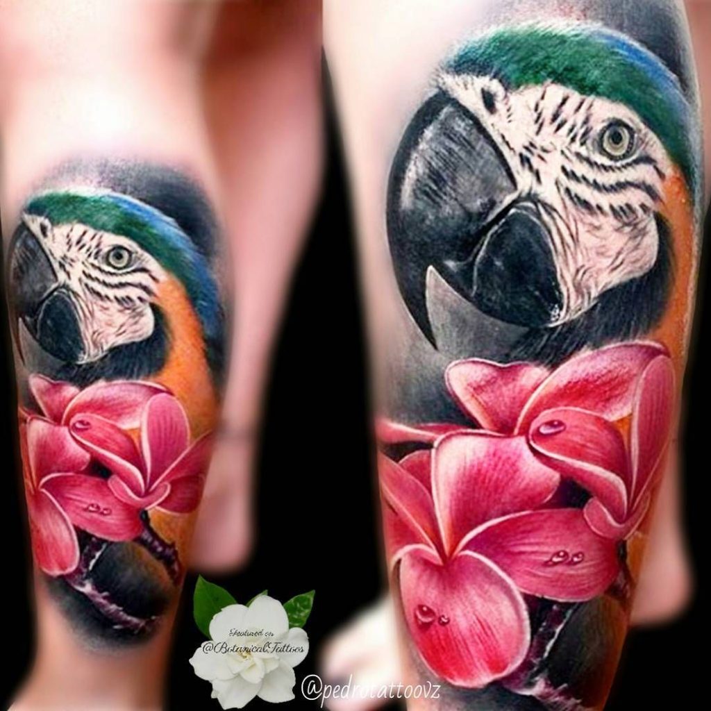 Parrot Tattoo 105