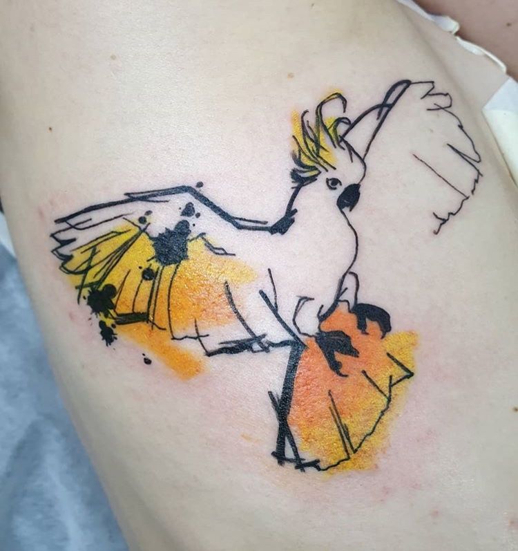 Parrot Tattoo 111