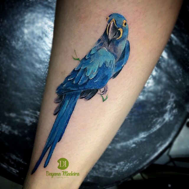 Parrot Tattoo 113