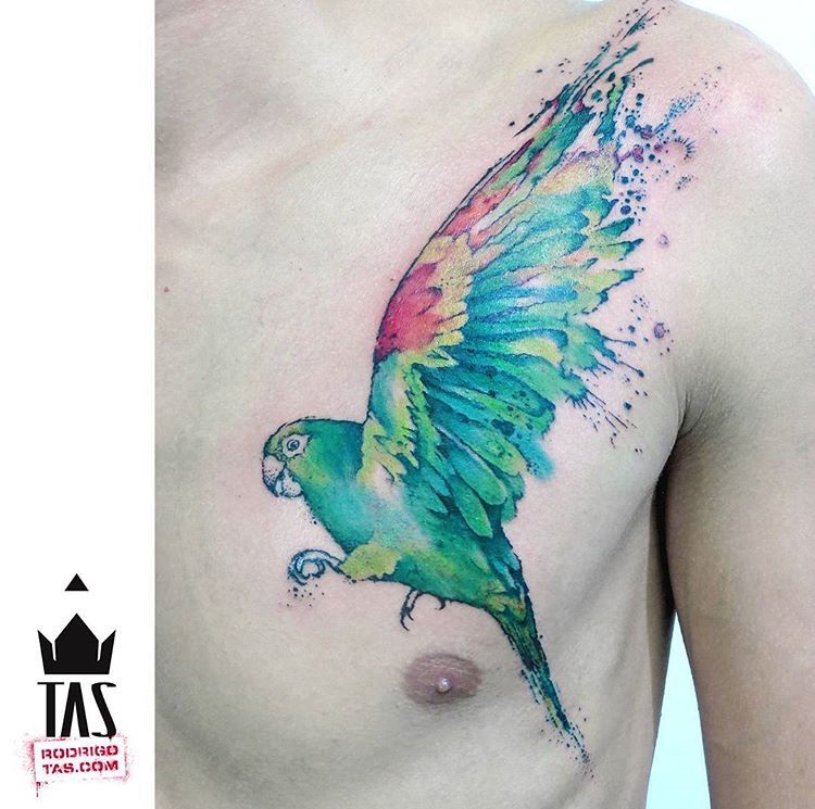 Parrot Tattoo 117