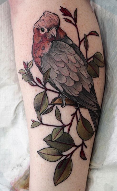 Parrot Tattoo 12