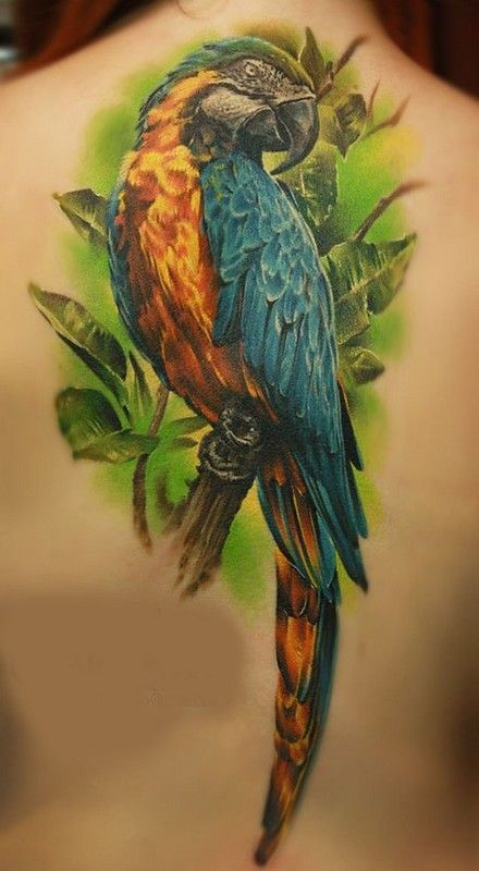 Parrot Tattoo 148