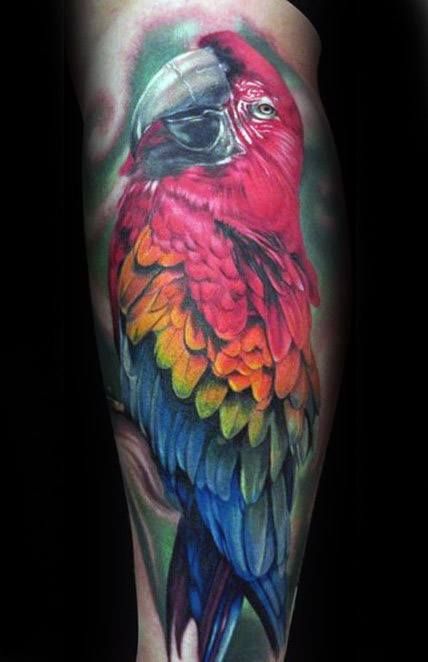 Parrot Tattoo 15