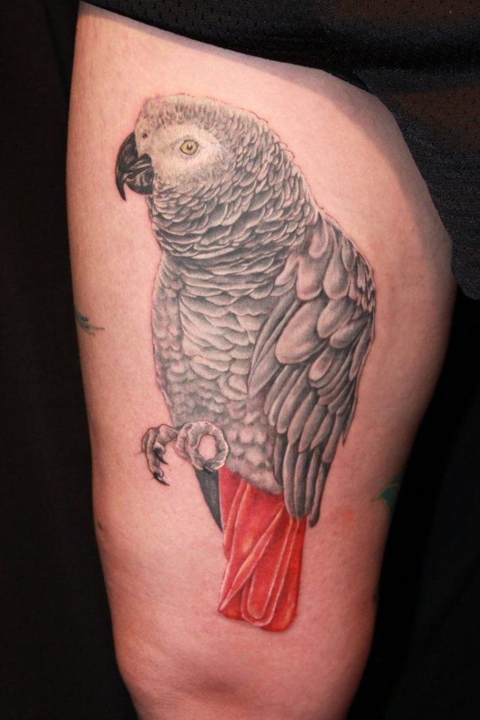 Parrot Tattoo 151