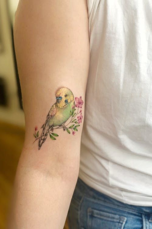 Parrot Tattoo 153