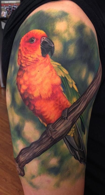 Parrot Tattoo 155
