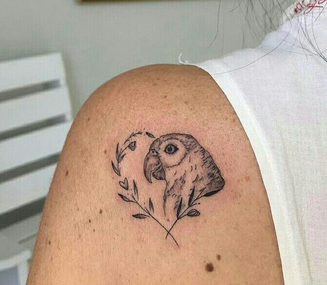 Parrot Tattoo 157