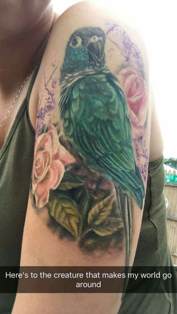 Parrot Tattoo 16
