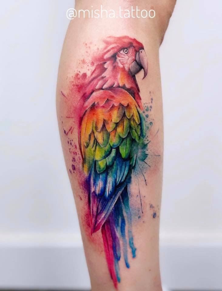 Parrot Tattoo 161