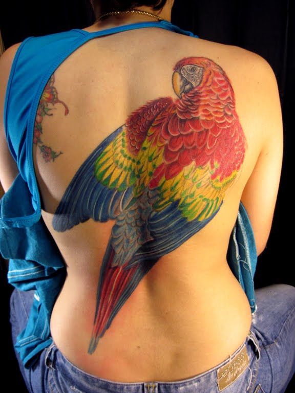 Parrot Tattoo 165