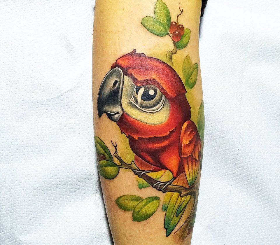 Parrot Tattoo 166