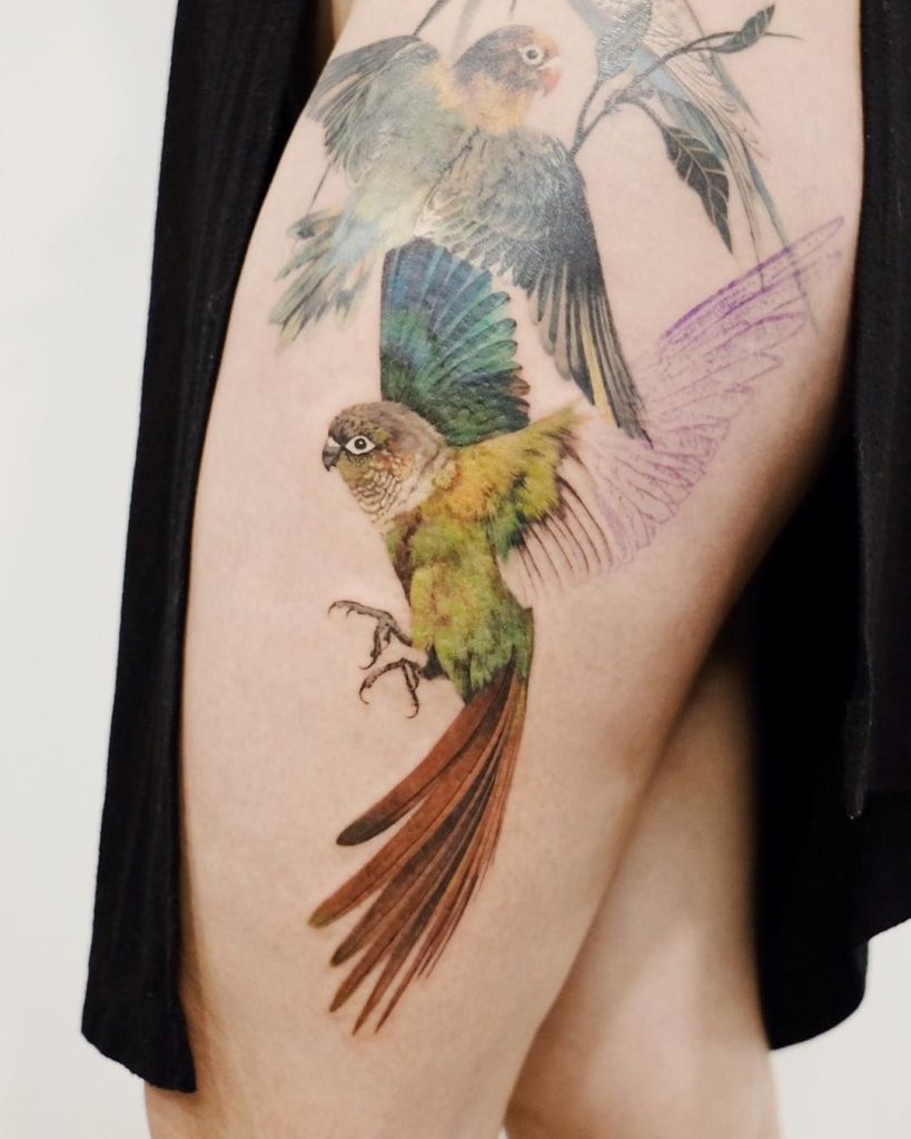 Parrot Tattoo 167