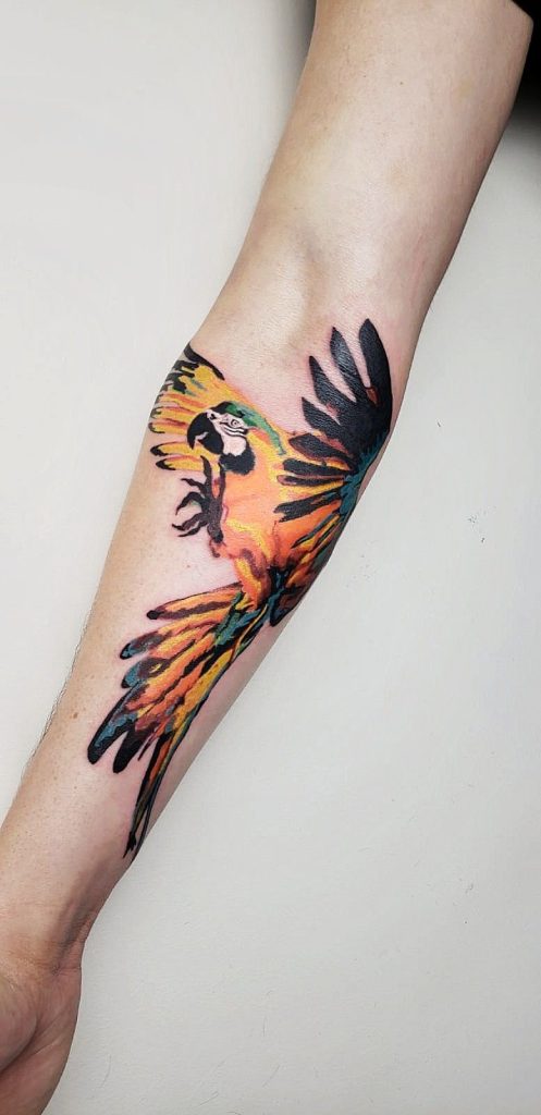 Parrot Tattoo 168