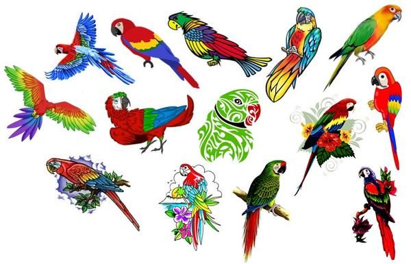 Parrot Tattoo 187
