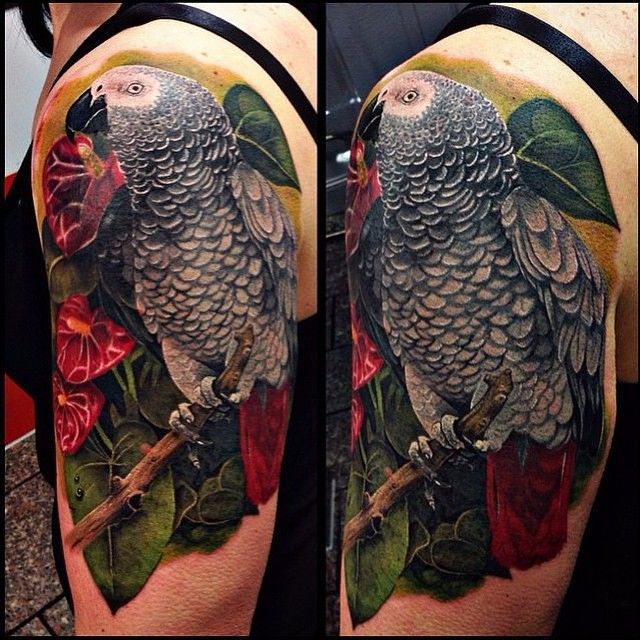 Parrot Tattoo 188