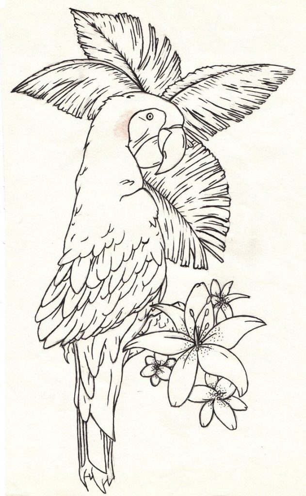 Parrot Tattoo 19