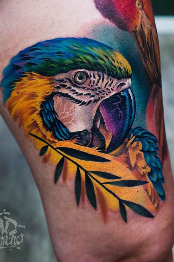 Parrot Tattoo 192
