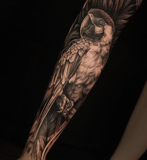 Parrot Tattoo 193
