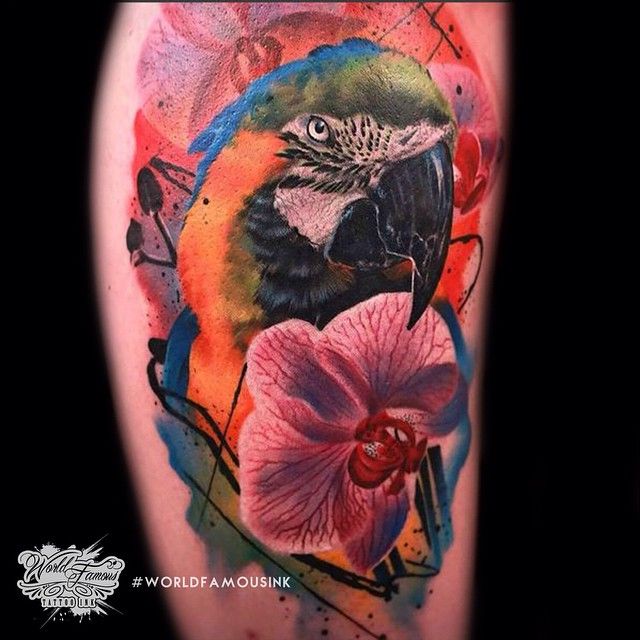 Parrot Tattoo 198