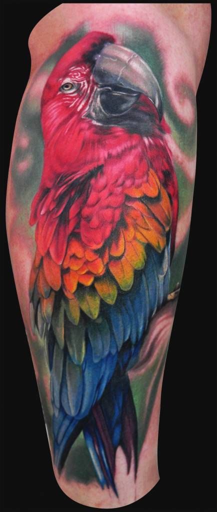 Parrot Tattoo 2