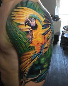 Parrot Tattoo 203