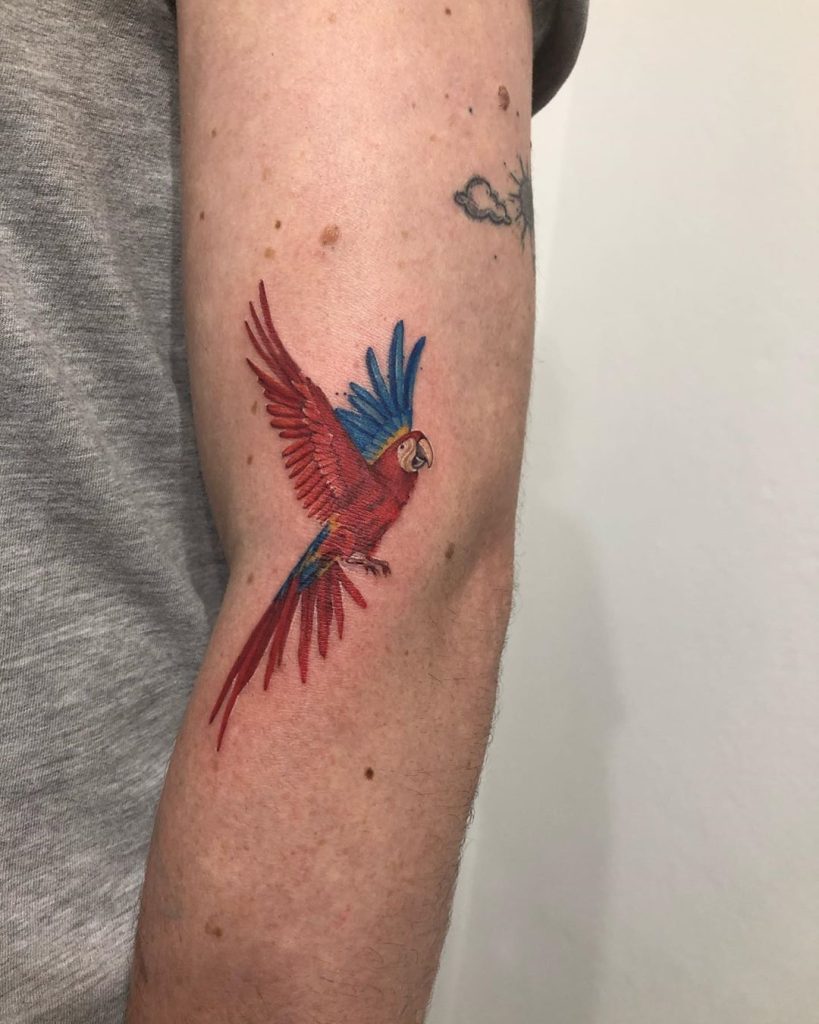 Parrot Tattoo 23
