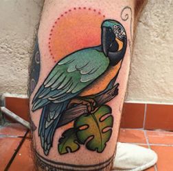 Parrot Tattoo 24