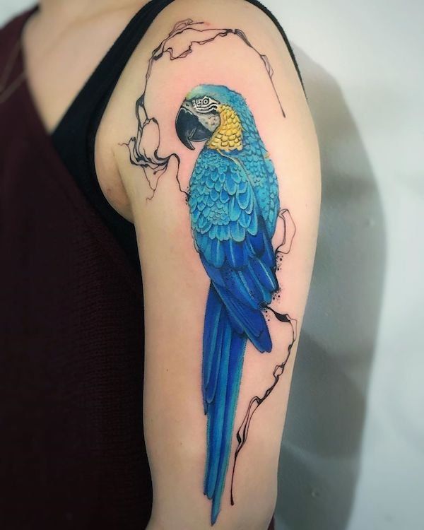 Parrot Tattoo 25
