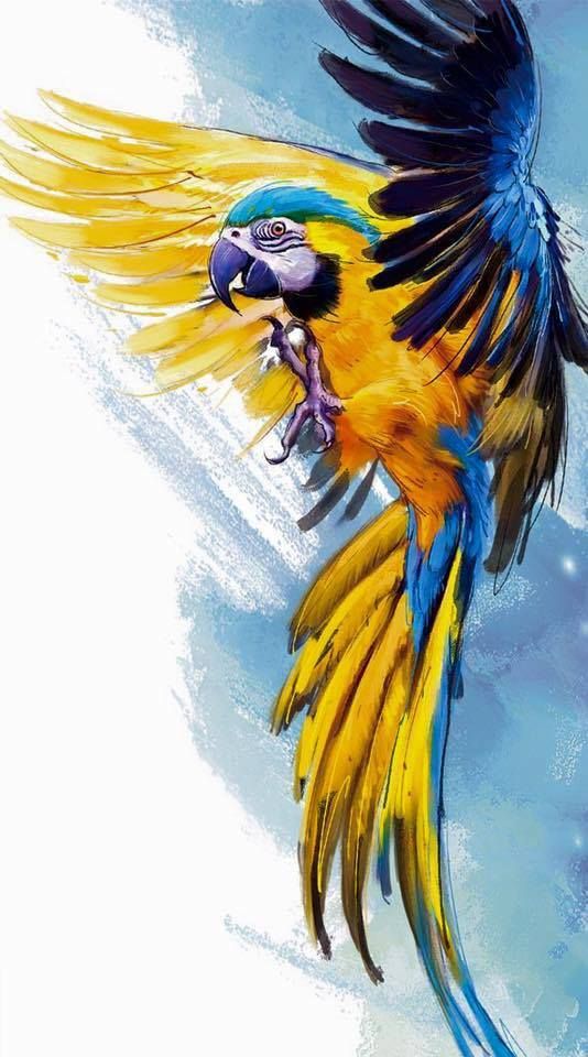 Parrot Tattoo 3