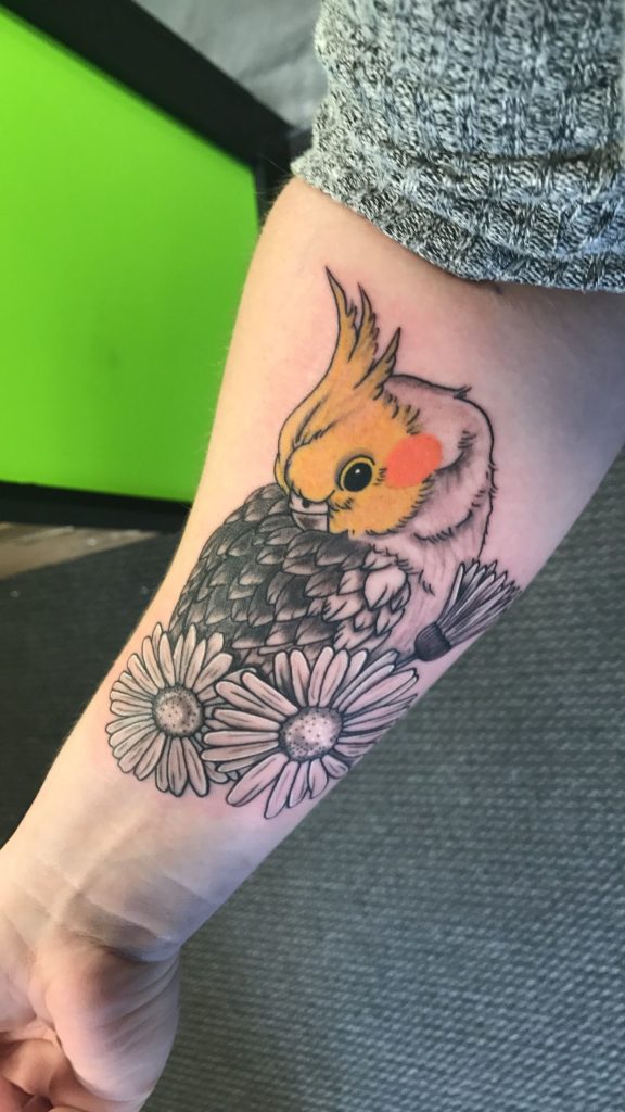 Parrot Tattoo 4