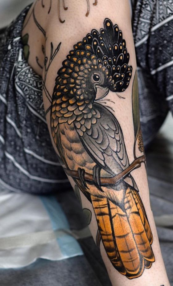 Parrot Tattoo 41