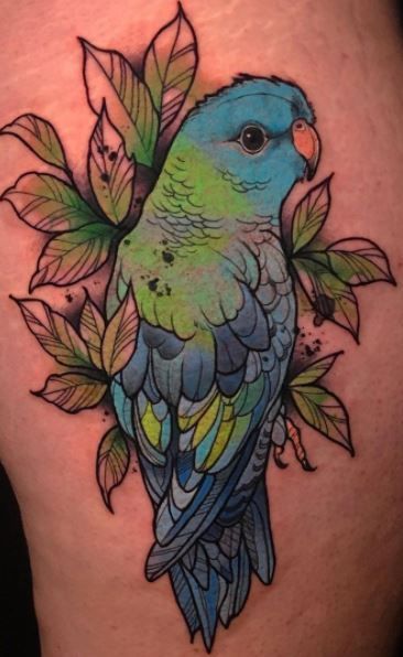 Parrot Tattoo 43