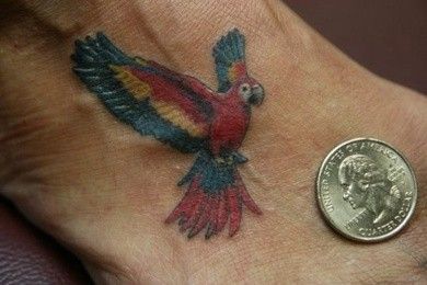 Parrot Tattoo 53