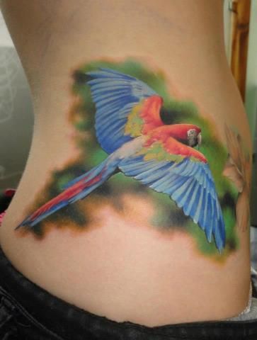 Parrot Tattoo 54