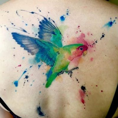 Parrot Tattoo 64