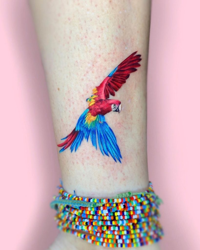 Parrot Tattoo 67