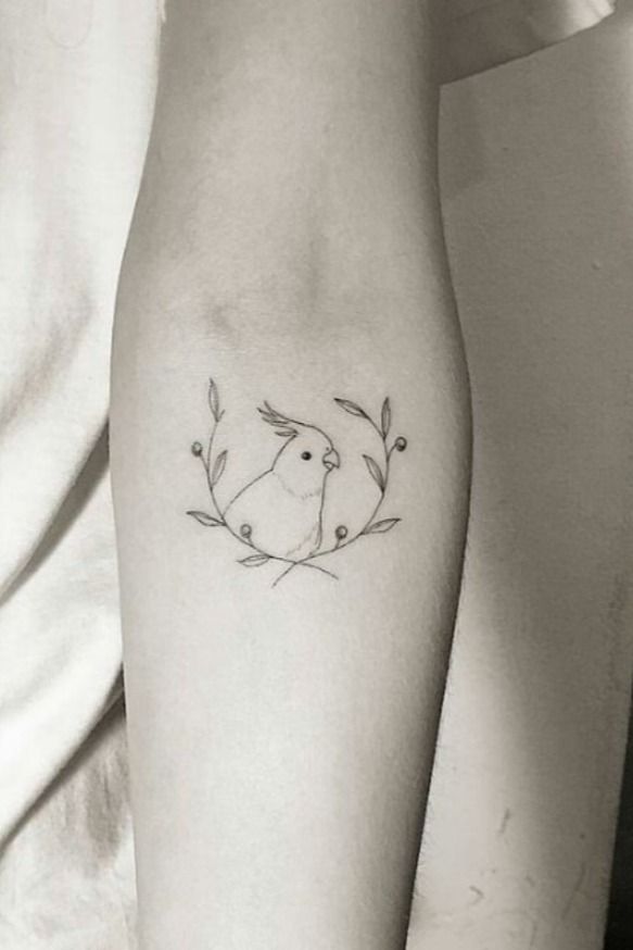 Parrot Tattoo 68